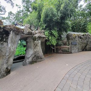 RWPZ 7/22 - Asiatic black bear