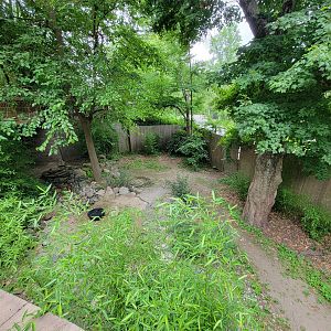 RWPZ 7/22 - Red-crowned crane