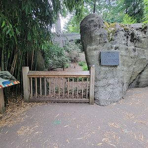 RWPZ 7/22 - Snow leopard