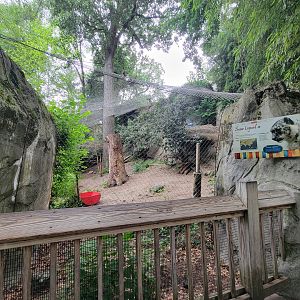 RWPZ 7/22 - Snow leopard