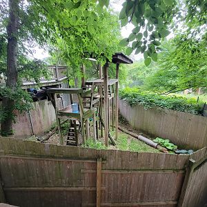 RWPZ 7/22 - Red Panda