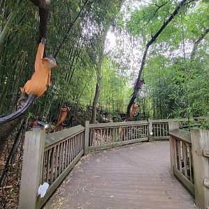 RWPZ 7/22 - Marco Polo's Adventure Trek path