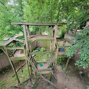 RWPZ 7/22 - Red Panda