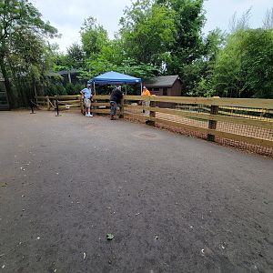 RWPZ 7/22 - Interaction yard (had armadillos in it)