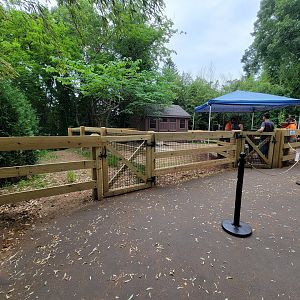 RWPZ 7/22 - Interaction yard (had armadillos in it)