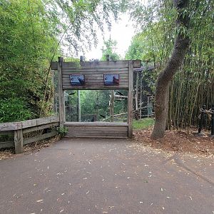 RWPZ 7/22 - Black vulture & turkey vulture