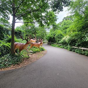 RWPZ 7/22 - Path between North America and Adventure Trek