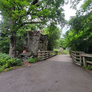 RWPZ 7/22 - North America