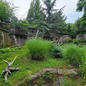 RWPZ 7/22 - Bald Eagle & Golden Eagle