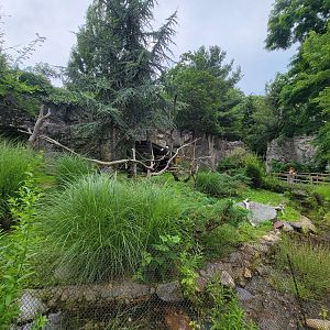 RWPZ 7/22 - Bald Eagle & Golden Eagle