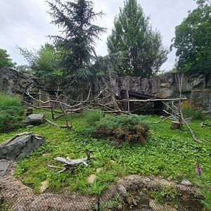 RWPZ 7/22 - Bald Eagle & Golden Eagle