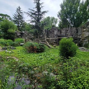 RWPZ 7/22 - Bald Eagle & Golden Eagle