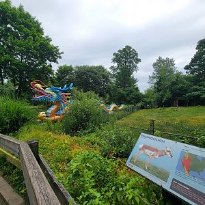 RWPZ 7/22 - Dragon lantern next to pronghorn & wild turkey