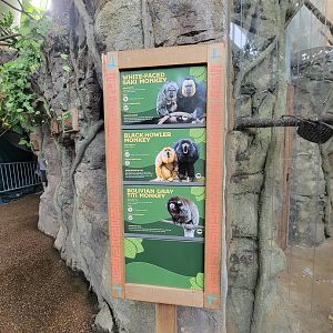 RWPZ 7/22 - Species in rotational primate exhibit
