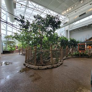 RWPZ 7/22 - Faces of the Rainforest, center