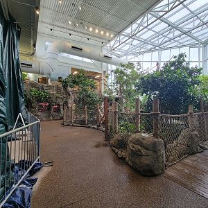 RWPZ 7/22 - Faces of the Rainforest, center