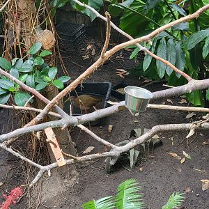 RWPZ 7/22 - Bird area