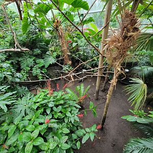 RWPZ 7/22 - Bird area