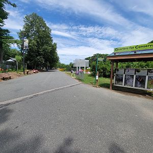 Franklin Park 7/22 - Inside zebra entrance