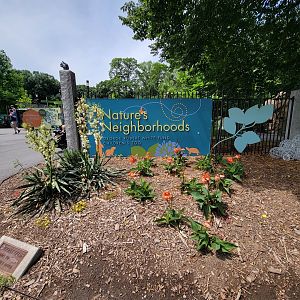 Franklin Park 7/22 - Nature's Neighborhoods, the Children's Zoo