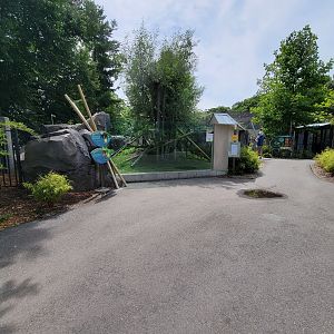 Franklin Park 7/22 - Nature's Neighborhoods, red panda/reeve's muntjac