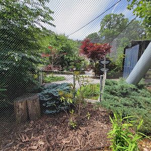 Franklin Park 7/22 - Nature's Neighborhoods aviary, closed because of bird flu