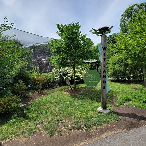 Franklin Park 7/22 - Nature's Neighborhoods wetlands