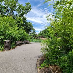 Franklin Park 7/22 - Nature's Neighborhoods wetlands