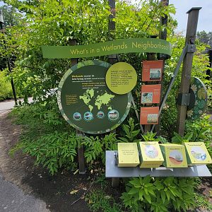 Franklin Park 7/22 - Nature's Neighborhoods, What's in a wetlands neighborhood?