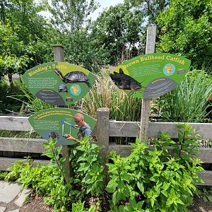 Franklin Park 7/22 - Nature's Neighborhoods signage, Blanding's Turtle and Brown Bullhead Catfish
