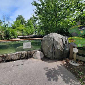 Franklin Park 7/22 - Nature's Neighborhoods, spotted turtle and pumpkinseed, closed for cleaning