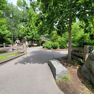Franklin Park 7/22 - Nature's Neighborhoods