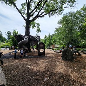 Franklin Park 7/22 - Nature's Neighborhoods playground