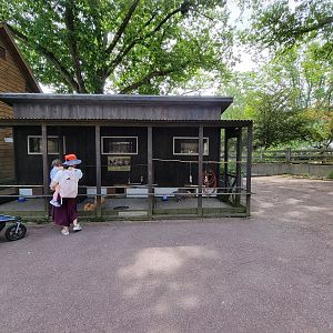 Franklin Park 7/22 - Franklin Farm chickens
