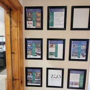 Franklin Park 7/22 - Franklin Farm, species they raise