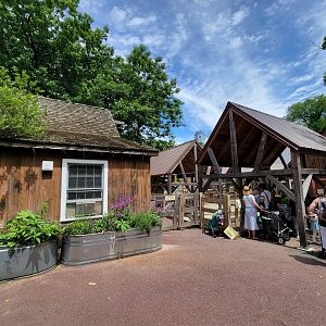 Franklin Park 7/22 - Franklin Farm goat contact yard