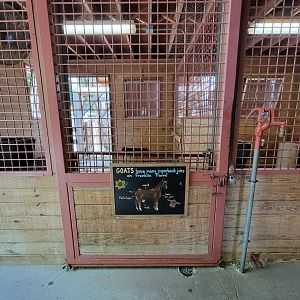 Franklin Park 7/22 - Franklin Farm barn; goats, sheep, cows, horses, etc.