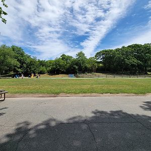 Franklin Park 7/22 - large expanse of nothing