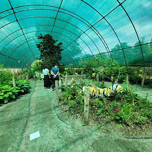 Franklin Park 7/22 - Butterfly Hollow