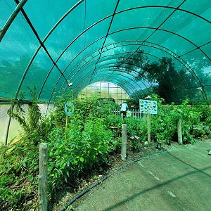 Franklin Park 7/22 - Butterfly Hollow