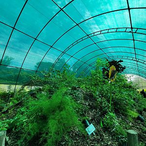 Franklin Park 7/22 - Butterfly Hollow