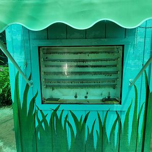 Franklin Park 7/22 - Butterfly Hollow