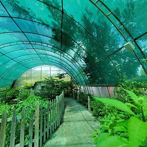 Franklin Park 7/22 - Butterfly Hollow, turtle pond