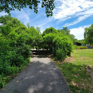 Franklin Park 7/22 - Path