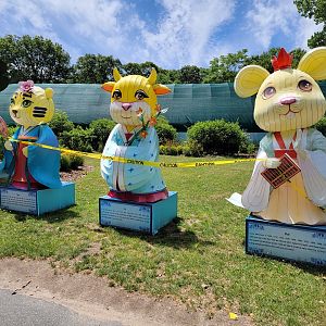 Franklin Park 7/22 - Lanterns set up by Butterfly Hollow