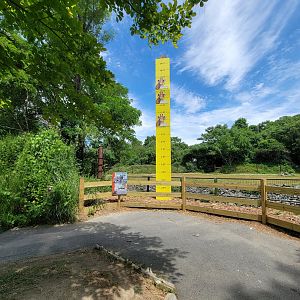 Franklin Park 7/22 - Masai giraffe measuring stick