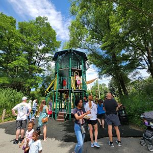 Franklin Park 7/22 - Play area right in front of the main Masai giraffe viewing spot