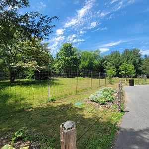 Franklin Park 7/22 - Outback Trail, red kangaroos and emu