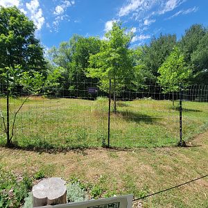 Franklin Park 7/22 - Outback Trail, red kangaroos and emu