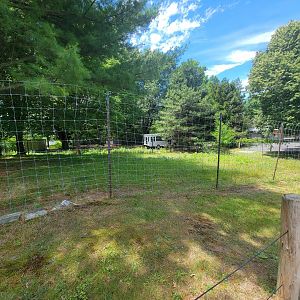 Franklin Park 7/22 - Outback Trail, red kangaroos and emu